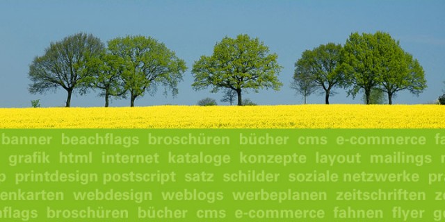 Mediengestaltung & mehr