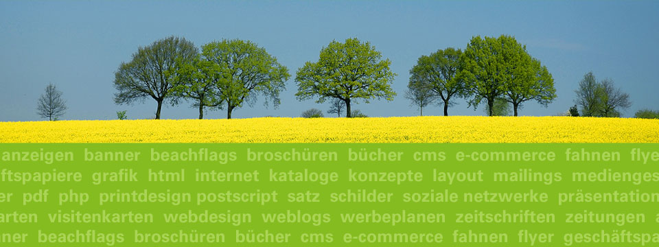 Mediengestaltung & mehr